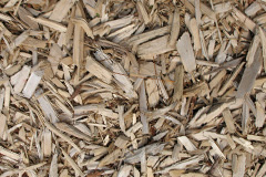 biomass boilers Gorgie